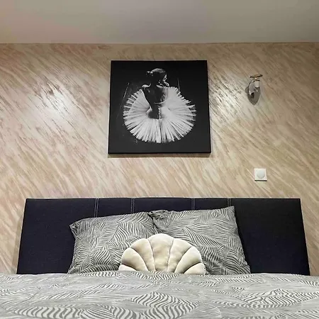 Spacieuse Sauna Billiard Netflix * Strasbourg