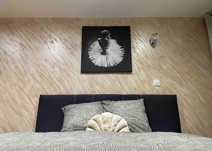 Spacieuse Sauna Billiard Netflix * Strasburgo